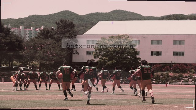 全站赛事中文数据流